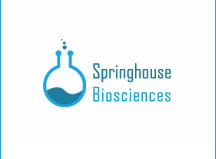 spinghouse-logo